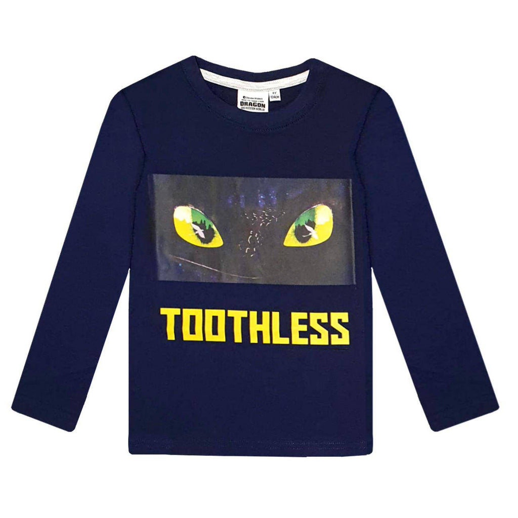 Dragons Boys (3-10) T-Shirt Long Sleeve - Toothless - Super Heroes Warehouse